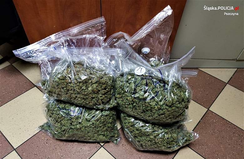 7,2 kg marihuany przejęli policjanci z pszczyńskiej komendy