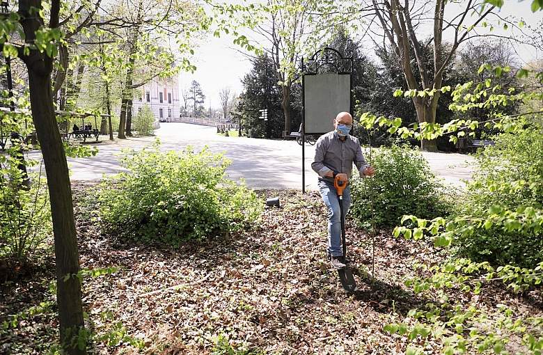 Nowe drzewka w pszczyńskim parku