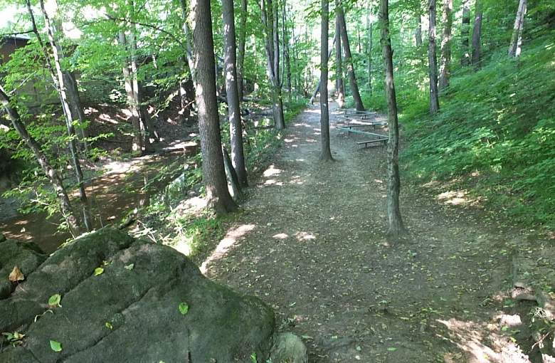 MŚ: w lasach nie ma obowiązku korzystania z maseczki