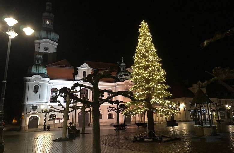 Świąteczne drzewko już na rynku