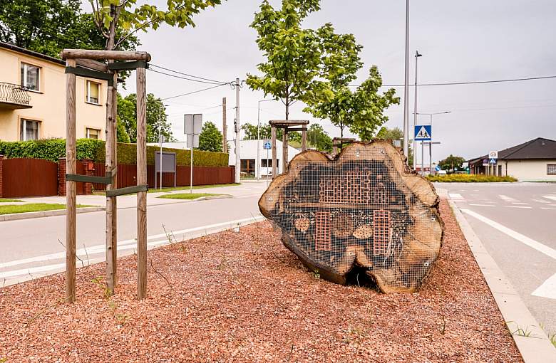 Pszczyna. Domek dla owadów i nowe nasadzenia na osiedlu Kolonia Jasna