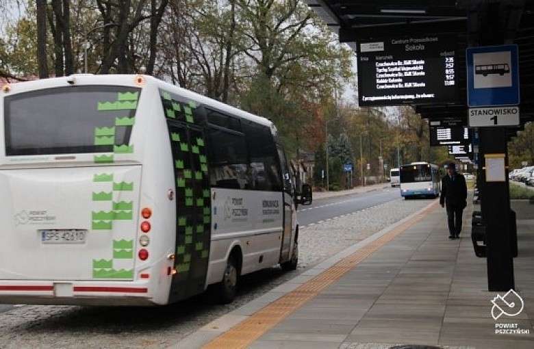 Od początku roku więcej kursów