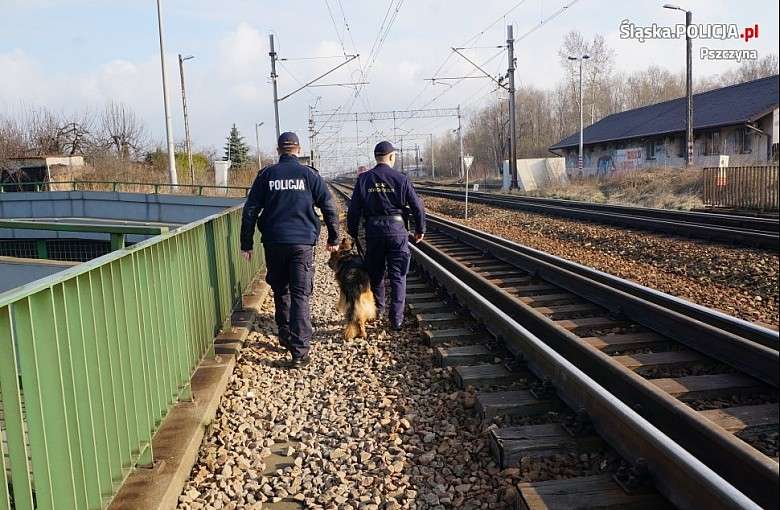 Wspólne patrole policjantów i sokistów