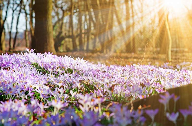 Wiosna za pasem! Przygotuj sie na wyprawy