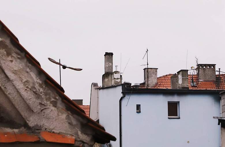 Miasto Pszczyna. Kominy