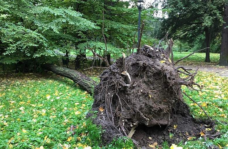 Uwaga na bardzo silny wiatr. Podmuchy mogą osiągać 100 km/h