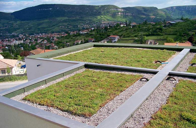 Dachy zielone – moda czy konieczność?