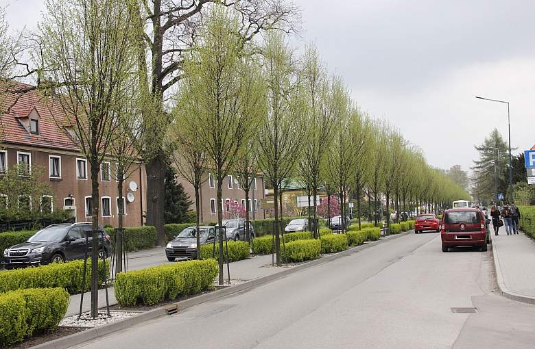 Zmiana organizacji ruchu w Pszczynie