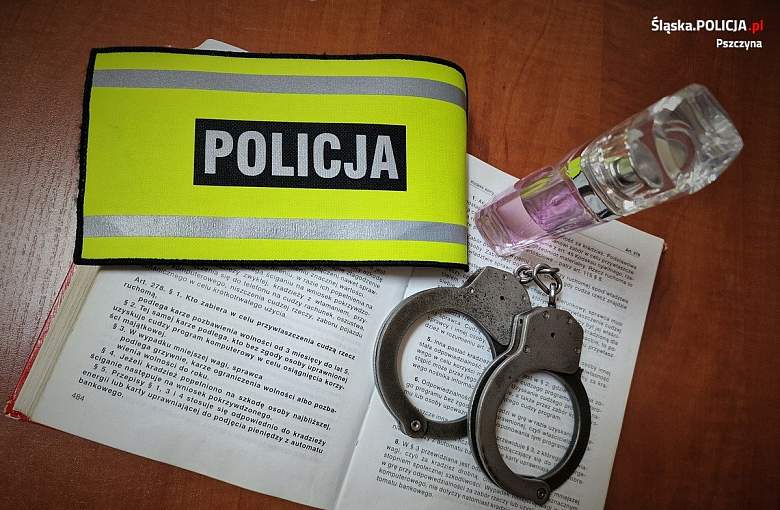 SZAJKA ZŁODZIEI W RĘKACH MUNDUROWYCH