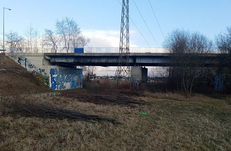 Coraz bliżej przebudowy mostu w Suszcu?