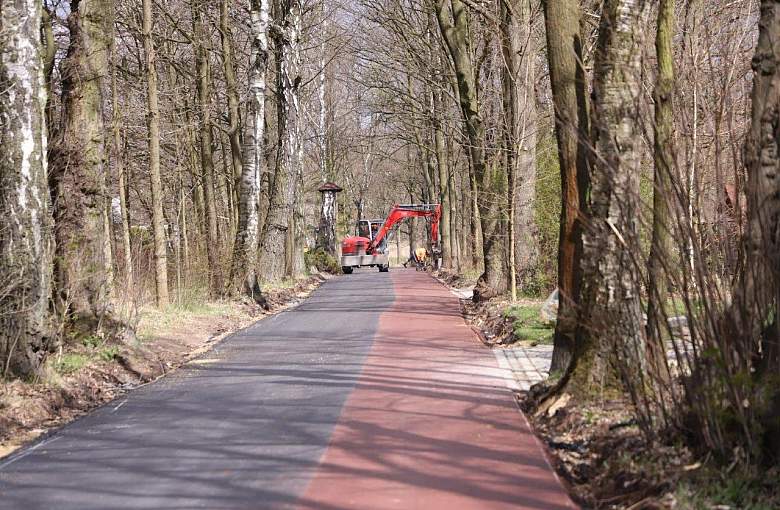 Ścieżka w zgodzie z dębami