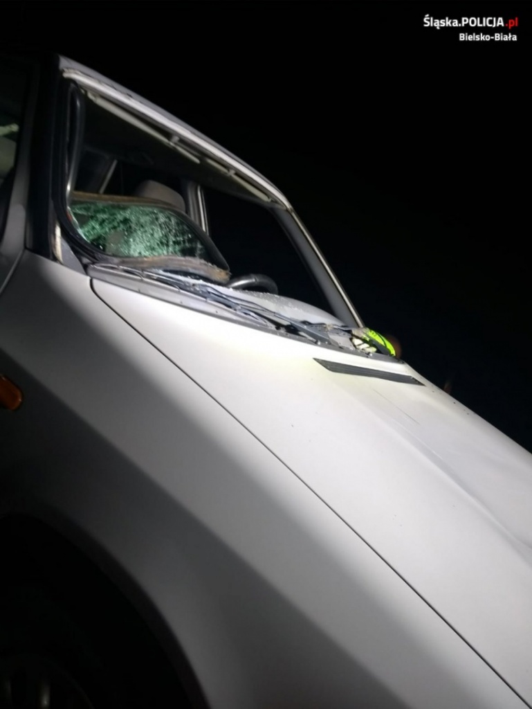 Policja Bielsko-Biała